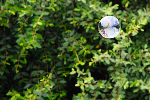 selettivo, foto di messa a fuoco, fronte bolla, verde, albero, bolla, brezza, galleggiante, natura, sfera, colore verde, ambiente, all'aperto, pianeta - spazio, globo - Oggetto creato dall'uomo, pianta, foglia, fragilità, crescita, concentrarsi sulle conoscenze acquisite, giorno, nessuno, parte vegetale, avvicinamento, luce del sole, ramo, bellezza nella natura, trasparente, mezz'aria, forma geometrica, 2K, CC0, dominio pubblico, privo di copyright