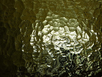 Glas, durchscheinend, Licht, Textur, Verzerrung, dekorativ, Innerhalb, keine Leute, Nahansicht, Vollbild, Hintergründe, Tag, Natur, Wachstum, Pflanze, Baum, Muster, Blatt, Schönheit in der Natur, Pflanzenteil, Sonnenlicht, Farn, natürliches Muster, Palme, draußen, Ruhe, High Angle View, Palmblatt, Nadelbaum, 2K, CC0, gemeinfrei, lizenzfrei