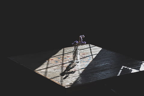 avvicinamento, foto, grigio, di legno, superiore, tavolo, viola, fiori petalo, chiaro, bottiglia di vetro, piazza, Marrone, vaso, fiore viola, ombra, fiore, notte, nessuno, sfondo nero, architettura, all'aperto, luce del sole, natura, giorno, vista dall'alto, copia spazio, sport, soleggiato, attività di svago, temperatura fredda, montagna, terra, sport invernali, stili di vita, 4K, CC0, dominio pubblico, privo di copyright