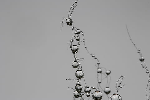 laissez tomber, réseau, synapse, perle, gris, goutte de pluie, villa, personne, la nature, fermer, eau, pendaison, faible angle de vue, journée, fraîcheur, espace de copie, ciel, en plein air, ciel clair, pureté, modèle, tranquillité, métal, beauté dans la nature, se concentrer sur le premier plan, rosée, 4K, CC0, domaine public, libre de droits