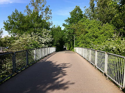 bruggen, paden, passage, loopbruggen, schermen, hekken, wegen, flora, bomen, groen, planten, bladerrijk, bladeren, takken, natuur, buitenshuis, toneel-, helder, zonnig, zonlicht, blauw, hemel, boom, brug - door de mens gemaakte structuur, hek, voetpad, geen mensen, groene kleur, poort, wolk - lucht, fabriek, schaduw, de weg vooruit, richting, groei, traliewerk, verbinding, brug, vervoer, dag, perspectief verminderen, schoonheid in de natuur, voetbrug, 2K, CC0, publiek domein, royaltyvrij