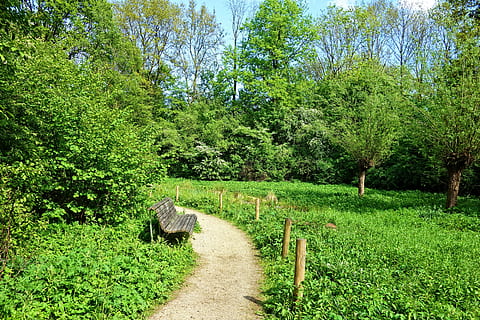 marró, fusta, banc, Pròxim, Camí, sendera, herba, arbres, parc, a l'aire lliure, paisatge, llum solar, solitud, serè, tranquil, lloc per relaxar-se, planta, arbre, color verd, creixement, tranquil·litat, bellesa a la natura, escena tranquil·la, terra, naturalesa, escenics - natura, dia, el camí a seguir, exuberant fullatge, cap gent, fullatge, direcció, camp, ruta, 5K, CC0, domini públic, lliure de regalies