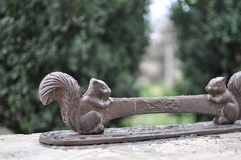 zerbino, scoiattolo, ferro, fauna selvatica, all'aperto, animali allo stato selvatico, giorno, nessuno, temi animali, rappresentazione animale, rappresentazione, scultura, arte e artigianato, metallo, statua, animale, messa a fuoco selettiva, avvicinamento, concentrarsi sulle conoscenze acquisite, mestiere, natura, architettura, parco, legno - materiale, 2K, CC0, dominio pubblico, privo di copyright