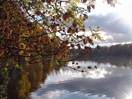 Blatt, Baum, Busch, See, Pflanze, Buchse, See, Grün, Laub, Sommer-, Sonne, hell, Landschaft, draussen, Park, Tiere in freier Wildbahn, Tierthemen, Vogel, Tierwelt, Reflexion, Wasser, Natur, Schönheit in der Natur, echte Menschen, Tag, Wachstum, Szenen - Natur, Himmel, Ufergegend, Ruhe, ruhige Szene, Nicht-städtische Szene, Ast, Gruppe von Tieren, Freizeitbeschäftigung, draußen, Veränderung, 1080P, CC0, gemeinfrei, lizenzfrei