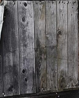 wood, pattern, grain, abstract, panel, rau, oberflaeche, structure, material, texture, planks, batten, out of date, natural colour, wood - material, backgrounds, textured, full frame, no people, old, plank, door, security, close-up, wood grain, weathered, entrance, brown, safety, protection, day, barrier, wood paneling, nail, textured effect, surface level, 2K, CC0, public domain, royalty free