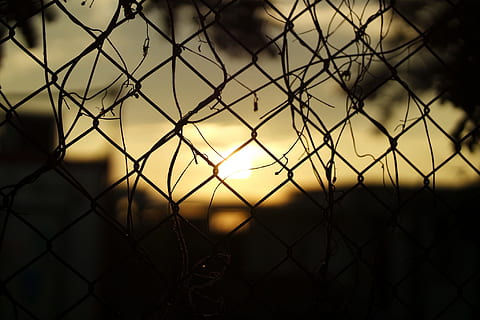 puesta de sol, barrera, cable, oscuro, silueta, cerca, límite, proteccion, cerca de alambre, la seguridad, seguridad, centrarse en primer plano, nadie, cielo, metal, naturaleza, antecedentes, malla de alambre, oscuridad, al aire libre, de cerca, 1080P, CC0, dominio público, libre de derechos
