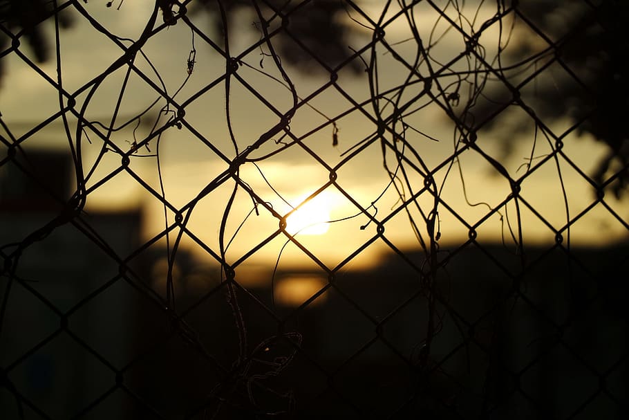 puesta de sol, barrera, cable, oscuro, silueta, cerca, límite, proteccion, cerca de alambre, la seguridad, seguridad, centrarse en primer plano, nadie, cielo, metal, naturaleza, antecedentes, malla de alambre, oscuridad, al aire libre, de cerca, 1080P