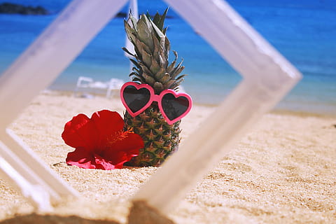 Rosa, Sonnenbrille, neben, rot, Hibiskus, Ananas, Strand, Urlaube, Sommer-, Sand, Meer, tropisches Klima, Natur, Reiseziele, Reise, Entspannung, keine Leute, Tag, draußen, Blume, blühende Pflanze, Pflanze, Schönheit in der Natur, Wasser, Land, Sonnenlicht, Nahansicht, selektiver Fokus, Frische, Blütenkopf, 1080P, CC0, gemeinfrei, lizenzfrei