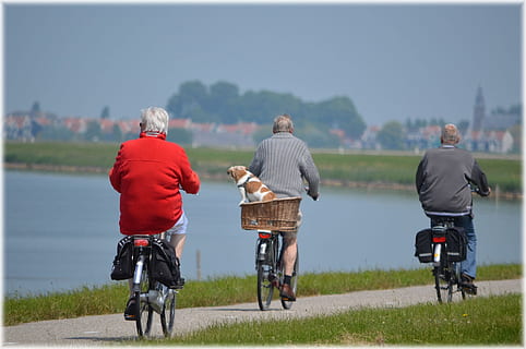 persone, uomini, sentiero, erba, attivo, Bici, ciclista, anziano, esercizio, divertimento, gruppo, tempo libero, stile di vita, vecchio, all'aperto, ricreazione, retrovisore, mezzi di trasporto, bicicletta, abbigliamento casual, stili di vita, veicolo terrestre, persone reali, giorno, lunghezza intera, attività di svago, concentrarsi sulle conoscenze acquisite, gruppo di persone, adulto, modo di trasporto, attività, natura, equitazione, 1080P, CC0, dominio pubblico, privo di copyright
