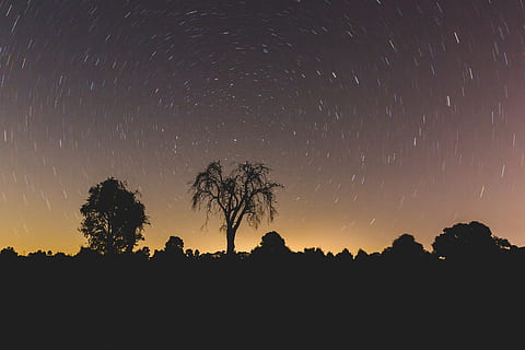 silhuet, træer, nattetid, stjerne, nat, skyer, træ, himmel, galakse, mørk, plads, aften, natur, solnedgang, scenics, ingen mennesker, rolig scene, udendørs, skønhed i naturen, stjerne - rum, plante, scenics - natur, astronomi, ro, idyllisk, miljø, landskab, lang eksponering, orange farve, jord, rum og astronomi, 5K