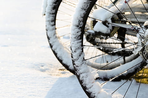 cicle, neu, hivern, fred, gelades, transport, roda, dia, bicicleta, pneumàtic, manera de transport, centrar-se en primer pla, vehicle terrestre, naturalesa, cap gent, a l'aire lliure, temperatura de fred, primer pla, llum solar, va parlar, animal, estacionari, 2K, CC0, domini públic, lliure de regalies
