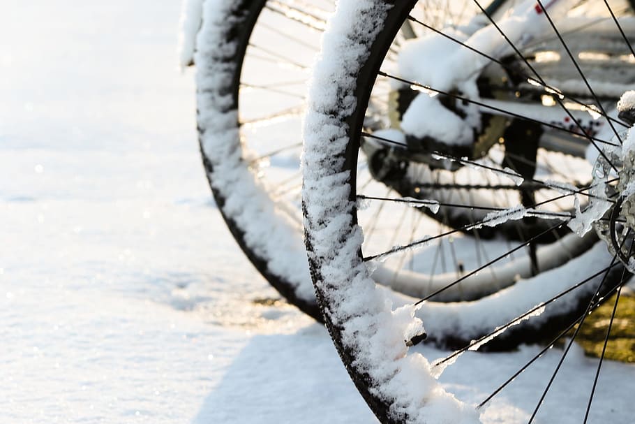 cicle, neu, hivern, fred, gelades, transport, roda, dia, bicicleta, pneumàtic, manera de transport, centrar-se en primer pla, vehicle terrestre, naturalesa, cap gent, a l'aire lliure, temperatura de fred, primer pla, llum solar, va parlar, animal, estacionari, 2K