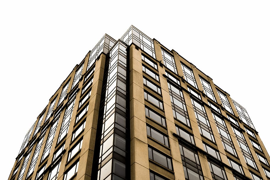 arquitectura, expressió, modern, oficina, finestra, cel, gratacels, façana, edifici, ciutat, Seattle, Washington, exterior de l'edifici, vista d’angle baix, estructura construïda, cel clar, cap gent, alta - alta, naturalesa, dia, patró, exterior d’edifici d’oficines, a l'aire lliure, còpia espai, fons blanc, 5K