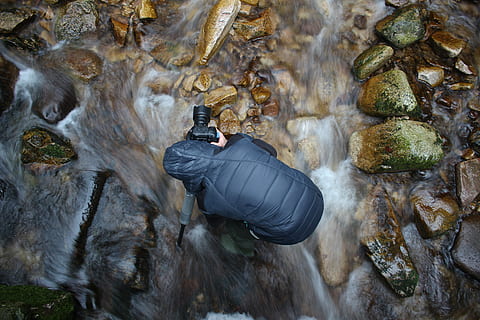 Wasserströmung, Kameramann, Wasser, Strom, Natur, Rock - Objekt, draußen, Tierwelt, Tierthemen, ein Tier, Rock, solide, Tag, Tiere in freier Wildbahn, Wirbeltier, echte Menschen, Männer, Menschen, High Angle View, See, Gruppe von Tieren, fließendes Wasser, 5K, CC0, gemeinfrei, lizenzfrei