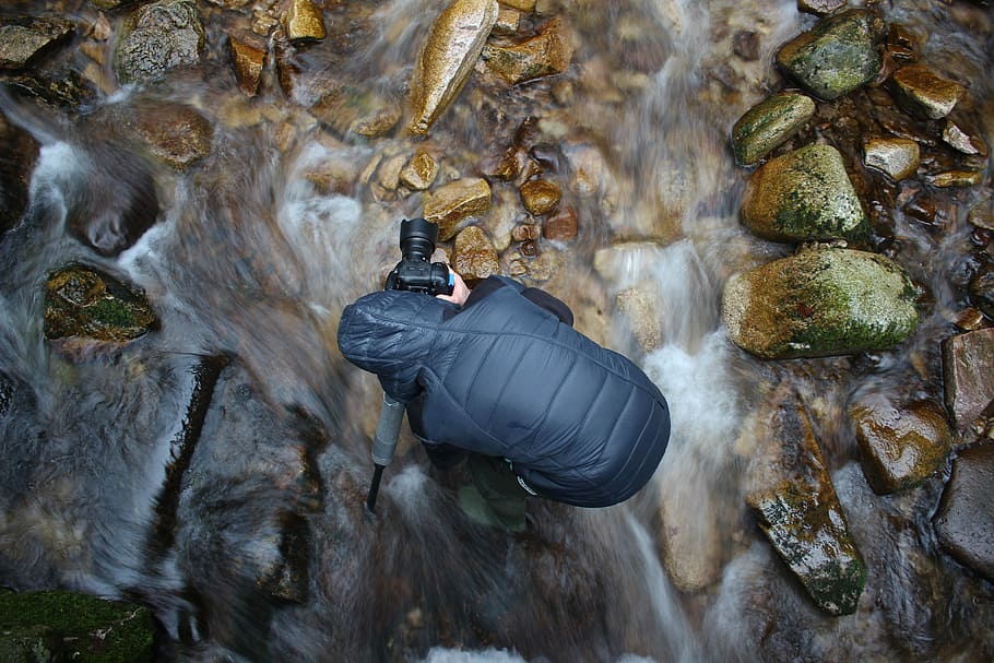 vandstrøm, kamera mand, vand, strøm, natur, rock-objekt, udendørs, dyreliv, dyre temaer, et dyr, klippe, solid, dag, dyr i naturen, hvirveldyr, rigtige mennesker, herrer, mennesker, høj vinkel visning, sø, gruppe af dyr, flydende vand, 5K