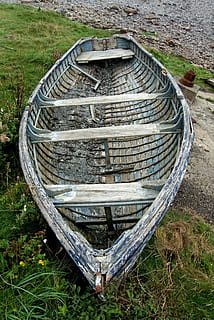 barco, remo, velho, barco a remo, de madeira, barco, remo, linha, madeira, clínquer, podridão, podre, decair, dilapidado, abandonado, negligência, esquecido, esqueço, azul, pintura, descamação, tradicional, pescaria, embarcação, vintage, intemperizado, mal amada, redundante, costeiro, grama, dia, ao ar livre, ninguém, natureza, pneu, plantar, visão de alto ângulo, terra, campo, madeira - material, círculo, recipiente, forma geométrica, tranquilidade, crescimento, estragado, forma, obsoleto, deterioração, roda, bem, 2K, CC0, domínio público, royalty free