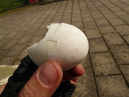 ou, eggshell, deget mare, mână, vecernie, mânca, umană, partea corpului uman, deținere, o persoana, oameni, băutură, perspectivă personală, oameni adevărați, zi, a închide, parte a corpului, cărare, deget, stradă, să se concentreze asupra primelor elemente, persoană nerecunoscută, degetul uman, stiluri de viață, mancare si bautura, Activitatea de agrement, în aer liber, piatră de pavaj, parchet gresie, 2K, CC0, domeniu public, fără drepturi de autor