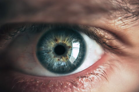 nærbilde fotografering, menneskelig, øye, personens grønne øye, makro, iris, elev, lokk, menneskelig øye, syn, menneskelig kroppsdel, nærbilde, sensorisk oppfatning, kroppsdel, øyevipper, én person, ekstrem nærbilde, voksen, portrett, iris - øye, øyeeplet, ser, refleksjon, menneskelig ansikt, øyenbryn, ung voksen, tanke, 5K, CC0, offentlig domene, opphavsrett gratis