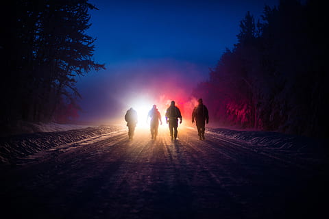 silhouet, 4 personen, wandelen, weg, aftekenen, mannen, backlight, nacht, landelijk, buitenshuis, mannetjes, sneeuw, bomen, mensen, silhouetten, vrouw, zonsondergang, natuur, groep mensen, boom, fabriek, saamhorigheid, achteraanzicht, echte mensen, levensstijlen, hemel, volledige lengte, vrijetijdsbesteding, richting, 5K, CC0, publiek domein, royaltyvrij