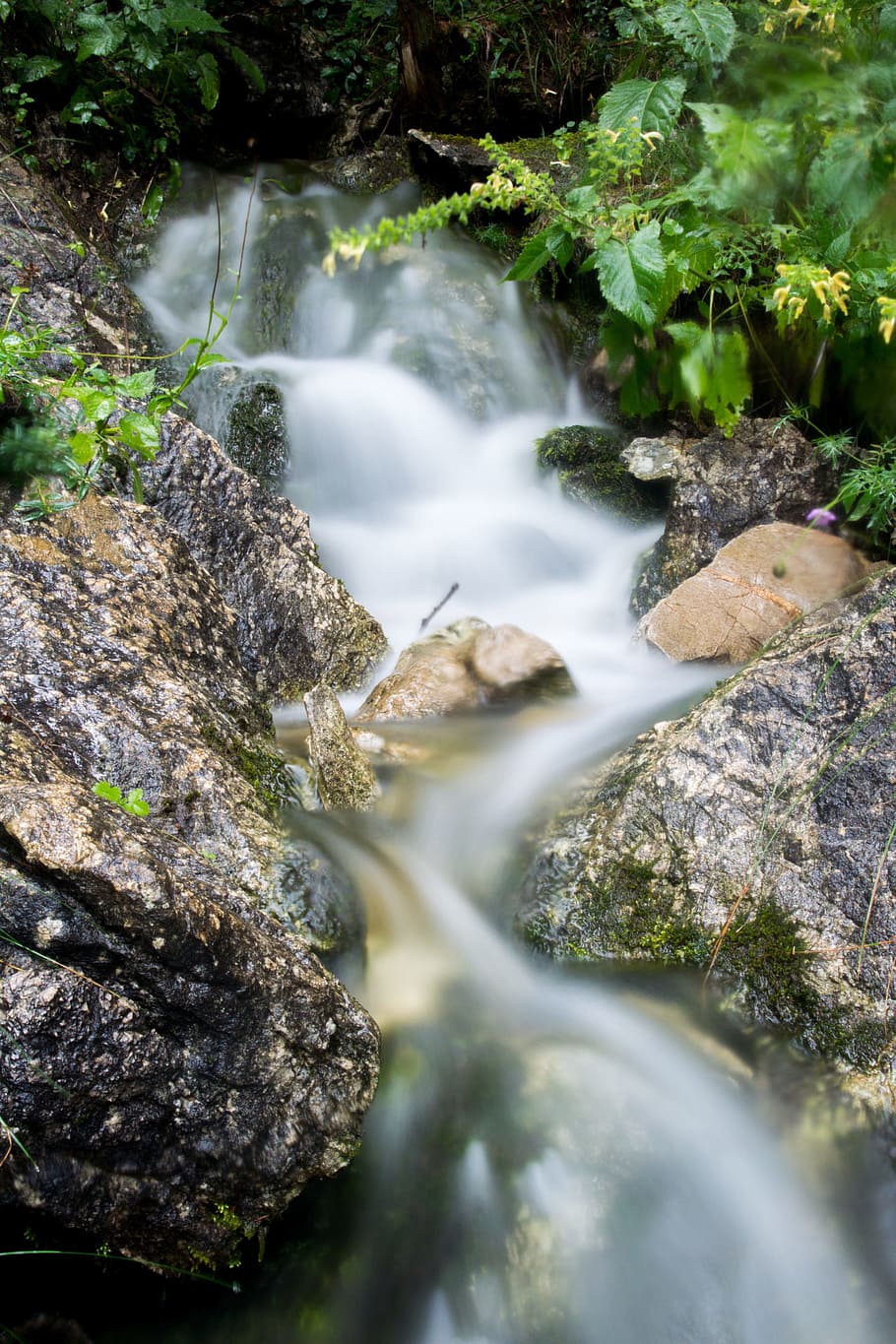 kilde, vand, boble, natur, sten, vand løbende, drikke, klar, frisch, klippe, plante, flydende vand, lang eksponering, skønhed i naturen, rock-objekt, Skov, solid, scenics - natur, træ, mos, bevægelse, ingen mennesker, dag, flyder, vækst, vandfald, udendørs, strøm - rindende vand, renhed, magt i naturen, løbende vand, 4K