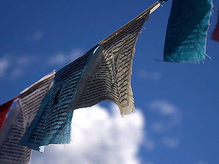 pregària, banderes, brisa, bufat, budisme, oració, banderes, budista, tibetà, religiós, sagrat, cultura, tradicional, blau, cel, vista d’angle baix, a l'aire lliure, cap gent, neu, naturalesa, penjant, dia, arquitectura, religió, creença, núvol - cel, estructura construïda, ciutat, edifici, bandera, exterior d’edifici d’oficines, exterior de l'edifici, medi ambient, gratacels, 720P, CC0, domini públic, lliure de regalies