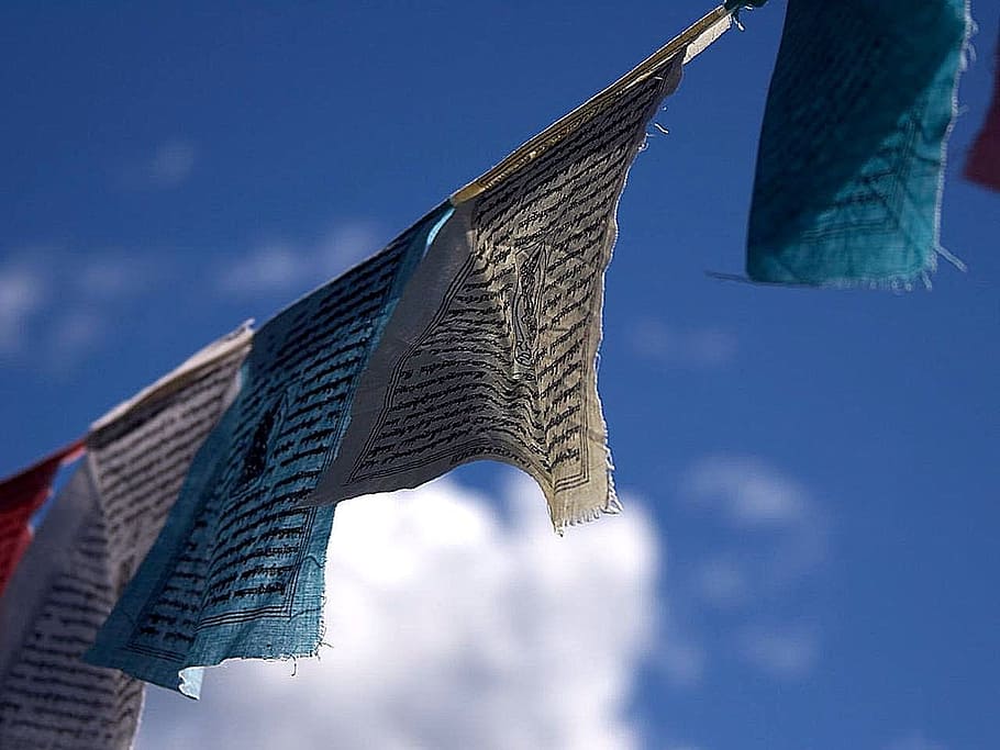 pregària, banderes, brisa, bufat, budisme, oració, banderes, budista, tibetà, religiós, sagrat, cultura, tradicional, blau, cel, vista d’angle baix, a l'aire lliure, cap gent, neu, naturalesa, penjant, dia, arquitectura, religió, creença, núvol - cel, estructura construïda, ciutat, edifici, bandera, exterior d’edifici d’oficines, exterior de l'edifici, medi ambient, gratacels, 720P