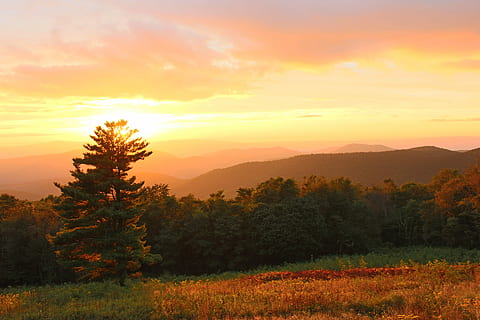verde, campo d'erba, alba, albero, all'aperto, panoramico, nube, turismo, parco, oceano, primavera, campagna, erba, spazio, alto, luce del sole, giallo, rurale, clima, prateria, tramonto, terra, vacanza, bellezza nella natura, scenics - natura, scena tranquilla, cielo, la tranquillità, pianta, colore arancione, paesaggio, scena non urbana, ambiente, natura, crescita, idilliaco, montagna, nessuno, nuvola - cielo, campo, sole, cielo romantico, 5K, CC0, dominio pubblico, privo di copyright