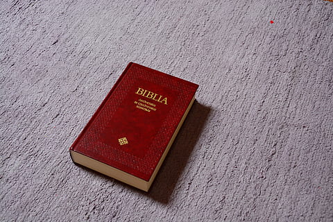 bible, gray, surface, scripture, christian, book, carpet, shadow, purple, text, red, wall - building feature, communication, no people, close-up, western script, textured, built structure, indoors, day, architecture, script, still life, wall, non-western script, high angle view, shape, fire alarm, 5K, CC0, public domain, royalty free