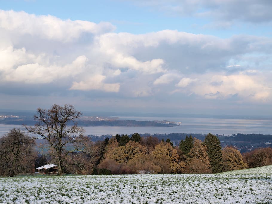 chiemsee, hivern, llum i ombra, cel, núvol - cel, arbre, planta, bellesa a la natura, tranquil·litat, escena tranquil·la, naturalesa, escenics - natura, camp, neu, temperatura de fred, dia, escena no urbana, terra, paisatge, medi ambient, cap gent, a l'aire lliure, 2K