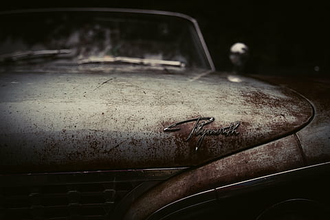 de cerca, foto, marrón, coche plymouth, Plymouth, viejo contador de tiempo, oxidado, etiqueta, marca, fabricante, antiguo, metal, vendimia, coche, Envejecido, vehículo, rústico, clásico, erosionado, abandonado, automóvil, modelo, frente, nostalgia, adentro, nadie, día, Vehículo de motor, modo de transporte, suciedad, transporte, vehículo terrestre, oscuro, animal, sucio, equipo doméstico, material de vidrio, material de madera, temas de animales, 5K, CC0, dominio público, libre de derechos