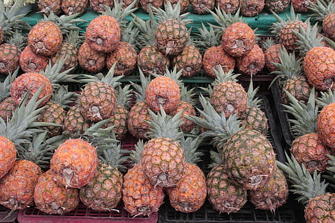 pinya, galeria, fruita, groc, menjar, saludable, verdures, naturalesa, menjar i beguda, venda al detall, mercat, frescor, gran grup d'objectes, fruita tropical, marc complet, alimentació saludable, benestar, fons, cap gent, abundància, a la venda, Paradeta, dia, vista d’angle alt, natura morta, venda, visualització al detall, madur, 1080P, CC0, domini públic, lliure de regalies