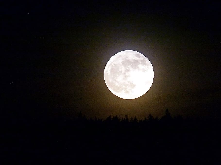 lluna plena, lluna, ple, nit, cel, llum de la lluna, satèl·lit, esfera, rodó, celestial, cel nocturn, espai, astronomia, bellesa a la natura, escenics - natura, tranquil·litat, cercle, Lluna planetària, cap gent, forma geomètrica, naturalesa, vista d’angle baix, forma, còpia espai, escena tranquil·la, fosc, idíl·lic, a l'aire lliure, espai i astronomia, astrologia, 720P