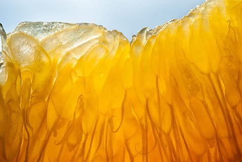 oransje, frukt, sol, sitrus, fersk, sunn, vitamin, saftig, søt, organisk, makro, sollys, gul, farge, natur, sommer, naturlig, lys, fargerik, levende, ingen folk, nærbilde, studio skudd, friskhet, spise sunt, gullfarget, panorama, velvære, mat, multi farget, innendørs, strukturert, levende farge, mat og Drikke, oransje farge, skjønnhet i naturen, 4K, CC0, offentlig domene, opphavsrett gratis