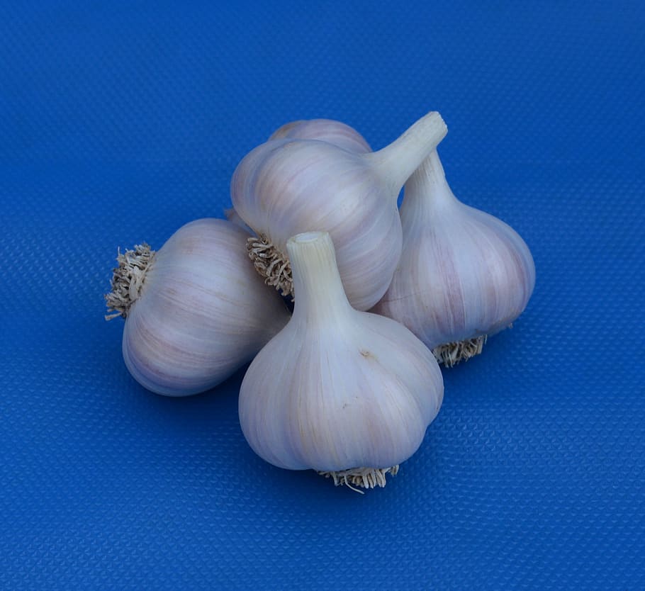 All, bombeta, blanc, vegetals, bulb d’all, cap gent, tir de l'estudi, bolets, fons de colors, espècia, ingredient, benestar, frescor, menjar i beguda, aliments crus, menjar, alimentació saludable, a l'interior, natura morta, Color blanc, primer pla, gra d'all, blau, fons blau, 2K