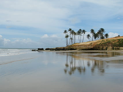 albero di cocco, corpo, acqua, Noce di cocco, alberi, giorno, cielo, nuvole, natura, riflessione, collina, paesaggio, mare, oceano, spiaggia, costa, riva, nuvola - cielo, all'aperto, albero, lago, nessuno, scenics - natura, bellezza nella natura, la tranquillità, terra, pianta, scena tranquilla, Palma, clima tropicale, scena non urbana, 2K