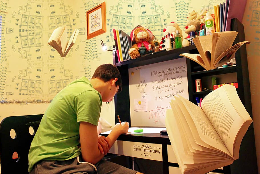 home, verd, samarreta, estudiar, exàmens, preparació, coneixement, adolescent, masculí, habitació, llibres, estacionari, escriptori, educació, escola, oficina, escriure, estudiant, llibre de text, a l'interior, homes, gent, adult, roba casual, comunicació, assegut, taula, una persona, publicació, text, llibre, persones reals, paper, tres quarts de longitud, creativitat, tecnologia, art i artesania, tecnologia sense fils, adult jove, 4K