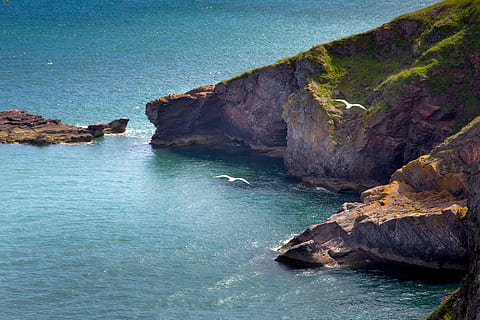 devon, torbay, brixham, deniz, sahil, kasaba, deniz, sahil, İngiltere, Berry kafa, park, uçurumlar, martılar, mavi, doğa, okyanus, Su, martı, Kaya, peyzaj, kaya - nesne, scenics, insansız, manzaralar - doğa, doğada güzellik, katı, kaya oluşumu, huzur, gün, arazi, sakin sahne, uçurum, pastoral, liman bölgesi, plaj, açık havada, formasyon, aşınmış, turkuaz renkli, kayalık sahil şeridi, 5K, CC0, kamu malı, telif ücretsiz
