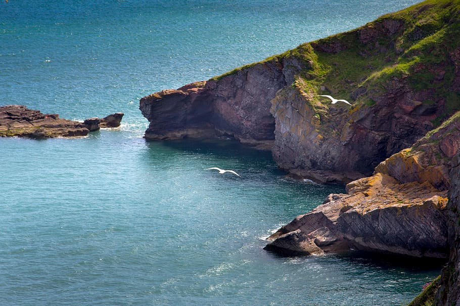 devon, torbay, Brixham, mar, costa, ciutat, mar, Costa, costaner, Anglaterra, cap de baies, parc, penya-segats, gavines marines, blau, naturalesa, oceà, aigua, gavina, rock, paisatge, rock - object, escenics, cap gent, escenics - natura, bellesa a la natura, sòlid, formació de roca, tranquil·litat, dia, terra, escena tranquil·la, penya-segat, idíl·lic, davant del mar, platja, a l'aire lliure, formació, erosionat, color turquesa, litoral rocós, 5K