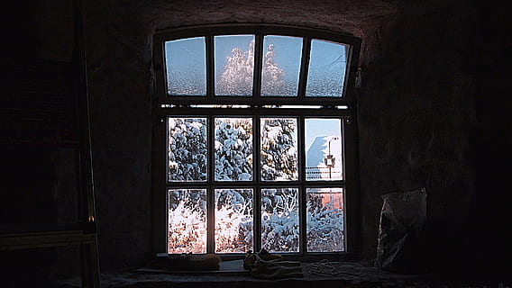 fotografía, marrón, de madera, enmarcado, cristal de la ventana, vaso, cristal de ventana, interior, banco de trabajo, molino, Nevado, vista, nieve, invierno, frío, Países Bajos, ventana, adentro, abandonado, nadie, nube - cielo, día, material de vidrio, arquitectura, edificio, estructura construida, transparente, luz del sol, naturaleza, casa, cuarto doméstico, antiguo, historia, oscuro, seguridad, marco de la ventana, 4K