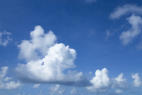 selective, focus, white, clouds, cloud, air, sky, blue, nature, landscape, great, it's in the air, day, atmosphere, environmental, open air, outdoor, composition, season, space, spring, abstract, background, pattern, white clouds, beautiful, texture, high, summer, peace, wallpaper, solar, light, cloud - sky, beauty in nature, scenics - nature, tranquility, low angle view, tranquil scene, no people, white color, idyllic, outdoors, sunlight, cloudscape, backgrounds, fluffy, non-urban scene, meteorology, softness, 4K, CC0, public domain, royalty free