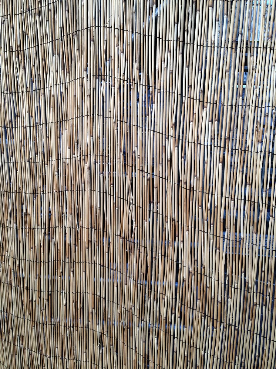 strand, reed, baggrund, struktur, baggrunde, mønster, materiale, tekstureret, abstrakt, træ - materiale, natur, Brun, bambus - materiale, fuld ramme, ingen mennesker, dag, tæt på, overflod, udendørs, stor gruppe af objekter, bambus, plante, sollys, høj vinkel visning, bambus - plante, 2K