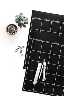grøn, saftige, plante, ved siden af, sort, planner, botanisk, kaktus, flatlay, materialer, papirclips, pen, planter, lineal, studio skud, indendørs, hvid baggrund, stilleben, ingen mennesker, direkte over, mad og drikke, bord, høj vinkel visning, tæt på, papir, natur, friskhed, mad, blad, sund kost, plante del, Bestil, 5K, CC0, offentligt domæne, royaltyfrie