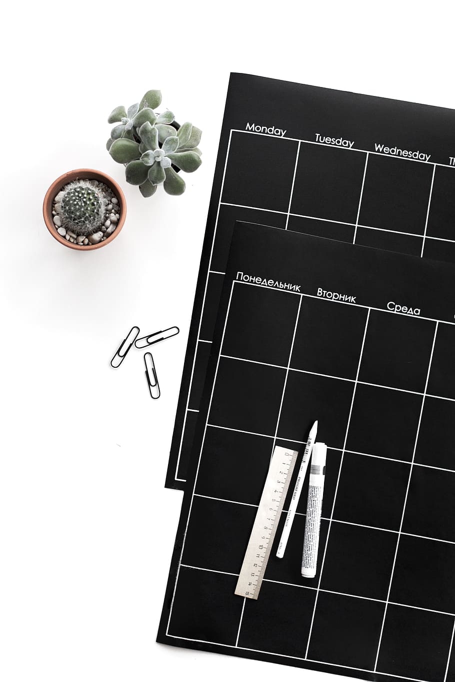 grøn, saftige, plante, ved siden af, sort, planner, botanisk, kaktus, flatlay, materialer, papirclips, pen, planter, lineal, studio skud, indendørs, hvid baggrund, stilleben, ingen mennesker, direkte over, mad og drikke, bord, høj vinkel visning, tæt på, papir, natur, friskhed, mad, blad, sund kost, plante del, Bestil, 5K