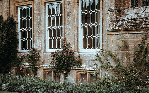 forde abatija, ruda, betonas, namas, uždaryta, langas, pastatas, architektūra, kadras, augalai, lapai, plytos, akmuo, Ventana, edificio, pastato išorė, pastatyta struktūra, augalų, nėra žmonių, dieną, augimą, medis, pobūdį, senas, lauke, gyvenamasis rajonas, sienų kūrimo funkcija, nuskendo, žemas kampo vaizdas, istorija, sienos, 4K, CC0, Viešasis domenas, nemokamai