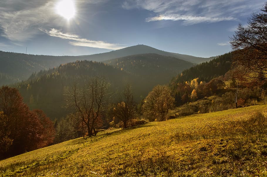 zelená, travnaté hřiště, hory, během dne, podzim, les, strom, světlo, slunce, cesta, Procházka, slunečního světla, přes, dřevo, poboček, sen, Červené, list, scénický, žlutá, park, Jasný, venkovní, lesk, listy, přírodní, tajemství, denní světlo, živý, svítání, den, slunný, scenérie, paprsek, starý, sluneční paprsek, Sluneční svit, sezóna, barva, kufr, rostlin, čerstvý, divoký, Příroda, životní prostředí, klidný, nosník, krajina, apuseni, Rumunsko, hora, venku, scén, nebe, kopec, západ slunce, louka, letní, krása v přírodě, scenics - příroda, rostlina, přistát, pohoří, klidné scény, klid, nikdo, mimoměstské scény, odlesk objektivu, změna, borovice, jehličnatého stromu, borové lesy, 4K