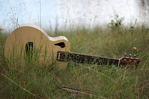 guitarra, herba, wp, cordes, wp strings, cap gent, dia, naturalesa, a l'aire lliure, arbre, planta, camp, terra, creixement, centrar-se en primer pla, color verd, paisatge, cel, manera de transport, bellesa a la natura, arquitectura, enfocament selectiu, transport, abandonat, temes d'animals, 5K, CC0, domini públic, lliure de regalies