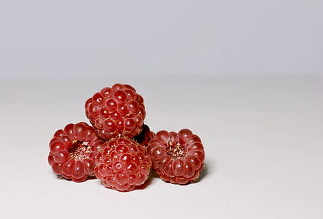 Himbeere, Beere, rot, Obst, appetitlich, Nahansicht, Lebensmittel, Essen und Trinken, gesundes Essen, Studioaufnahme, Wohlbefinden, keine Leute, Frische, drinnen, Beerenfrucht, weißer Hintergrund, ausgeschnitten, Natur, Liebe, Gruppe von Objekten, Gruppe, positive Emotionen, reif, Valentinstag - Urlaub, Snack, 2K, CC0, gemeinfrei, lizenzfrei