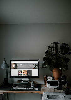 desktop setup, turned, computer, monitor, plant, planter, pot, apple, technology, indoors, table, home interior, furniture, potted plant, no people, electric lamp, desk, computer equipment, computer monitor, domestic room, vase, lighting equipment, screen, nature, shelf, living room, keyboard, houseplant, 4K, CC0, public domain, royalty free