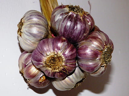All, cuina, espècia, un vegetal, główkowaty, alls główkowaty, planta, menjar, saludable, rosa, hidrocarburs aromàtics, cuinar, vegetals, menjar i beguda, benestar, ingredient, frescor, alimentació saludable, a l'interior, natura morta, aliments crus, bulb d’all, ceba, porpra, cap gent, primer pla, vista d’angle alt, tir de l'estudi, grup d'objectes, menjar vegetarià, 4K, CC0, domini públic, lliure de regalies