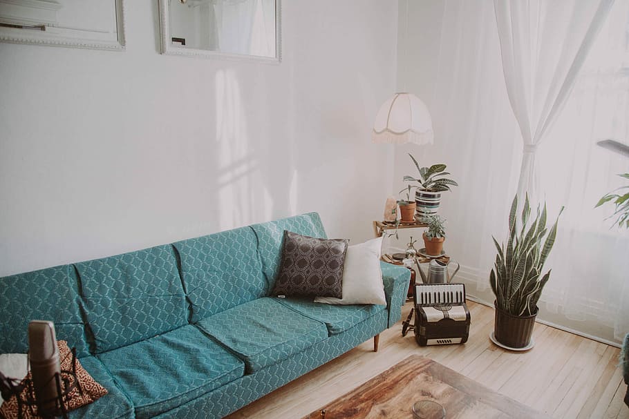 divano, accanto, fisarmonica, pavimento, divano verde acqua, dentro, camera, lampada, pianta, casa, finestra, mobilia, interno, design, comfort, luce, bianca, accogliente, parete, drappo, tenda, tappeto, pavimento di legno, moderno, acordeon, stanza domestica, in casa, interno di casa, interno vetrina casa, soggiorno, nessuno, posto a sedere, tavolo, cuscino, assenza, vita domestica, stili di vita, sedia, vaso, pavimentazione, lusso, legna, lampada elettrica, pianta della casa, 5K